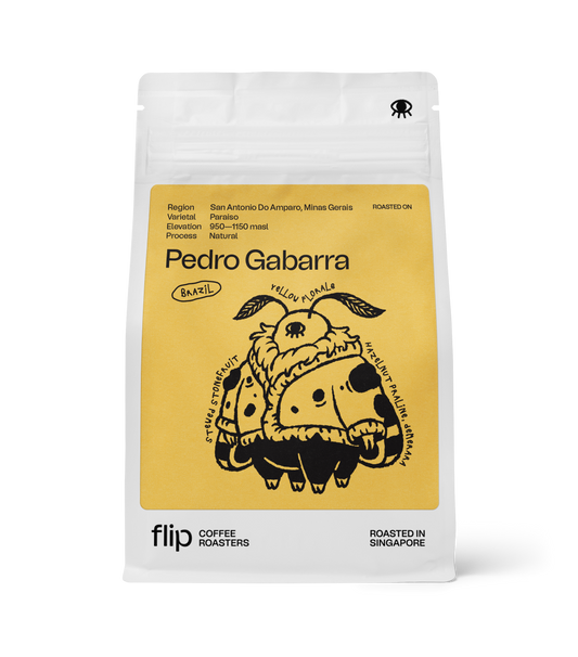 Brazil Pedro Gabarra
