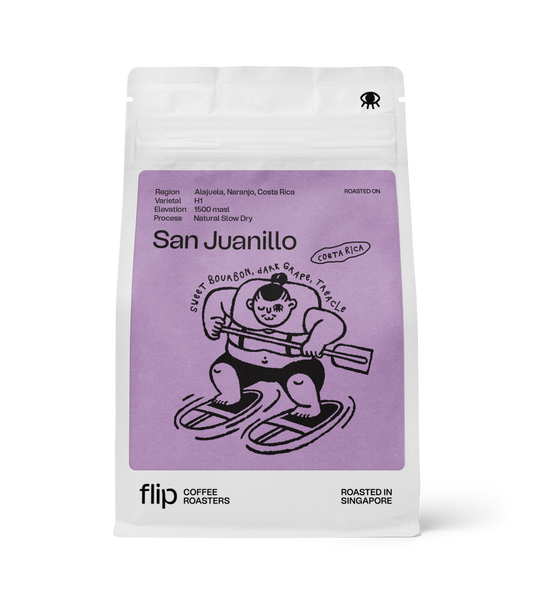 Costa Rica San Juanillo