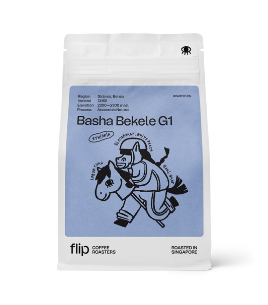 Ethiopia Basha Bekele G1