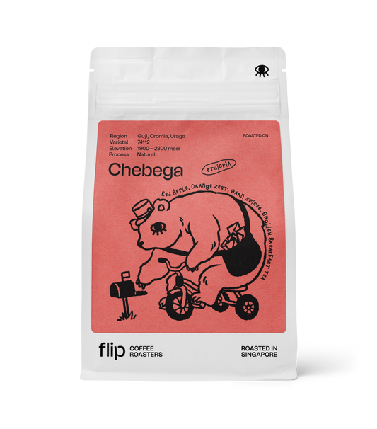 Ethiopia Chebega