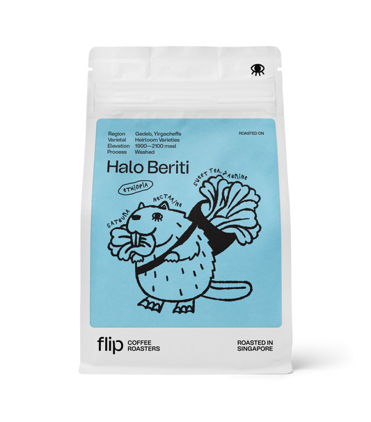 Ethiopia Halo Beriti