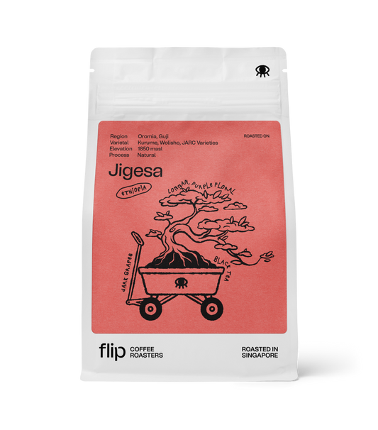Ethiopia Jigesa